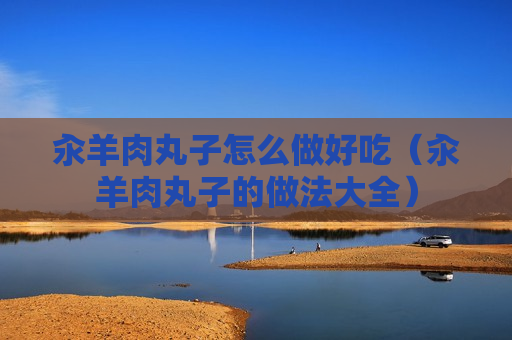 汆羊肉丸子怎么做好吃（汆羊肉丸子的做法大全）