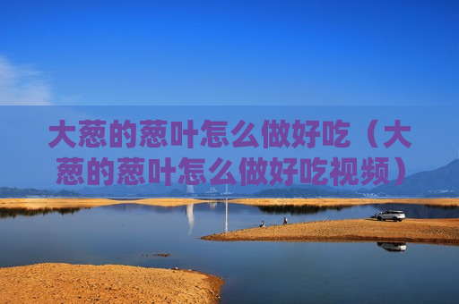 大葱的葱叶怎么做好吃（大葱的葱叶怎么做好吃视频）