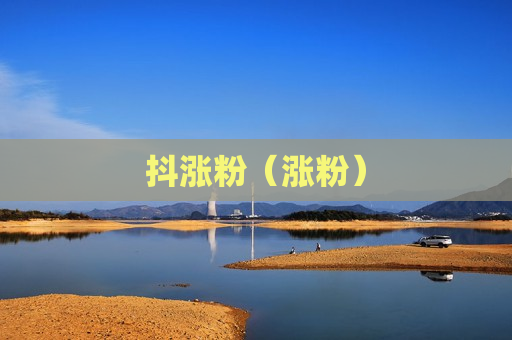 抖涨粉（涨粉）