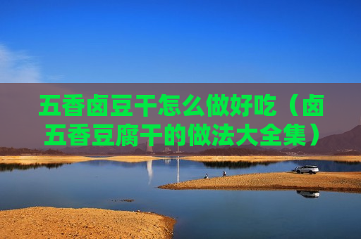 五香卤豆干怎么做好吃（卤五香豆腐干的做法大全集）