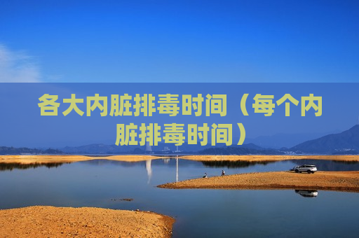 各大内脏排毒时间（每个内脏排毒时间）