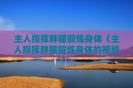 主人指挥胖猫锻炼身体（主人指挥胖猫锻炼身体的视频）