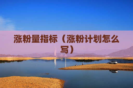 涨粉量指标（涨粉计划怎么写）