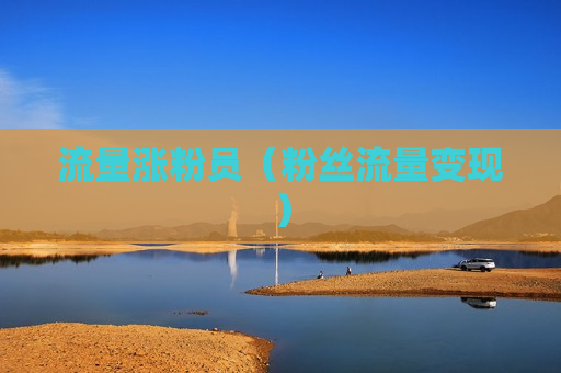 流量涨粉员（粉丝流量变现）