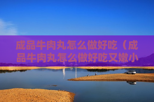 成品牛肉丸怎么做好吃（成品牛肉丸怎么做好吃又嫩小孩吃）