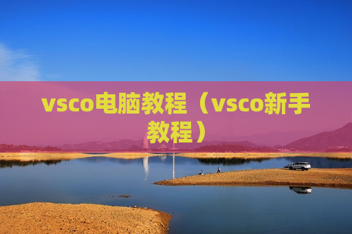 vsco电脑教程（vsco新手教程）