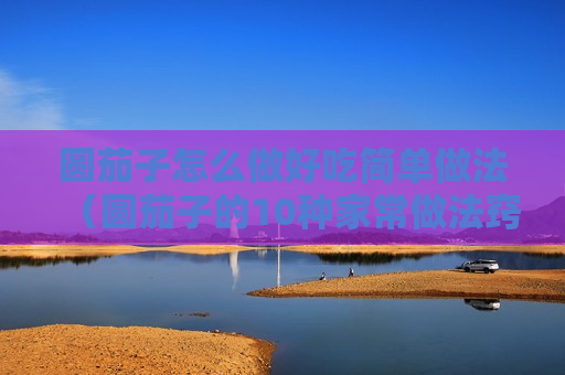 圆茄子怎么做好吃简单做法（圆茄子的10种家常做法窍门）
