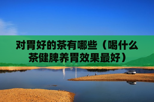 对胃好的茶有哪些（喝什么茶健脾养胃效果最好）