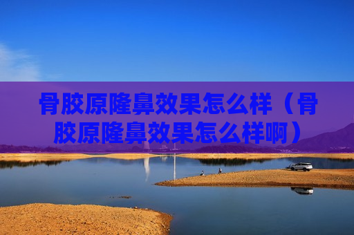 骨胶原隆鼻效果怎么样（骨胶原隆鼻效果怎么样啊）