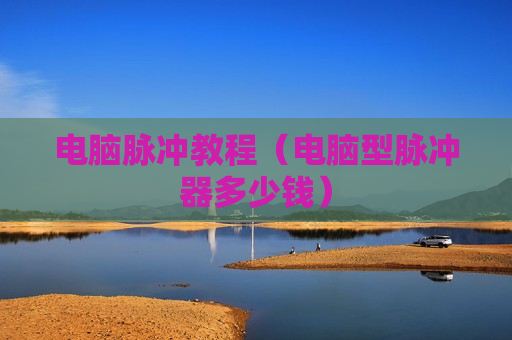 电脑脉冲教程（电脑型脉冲器多少钱）