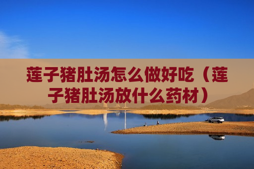 莲子猪肚汤怎么做好吃（莲子猪肚汤放什么药材）