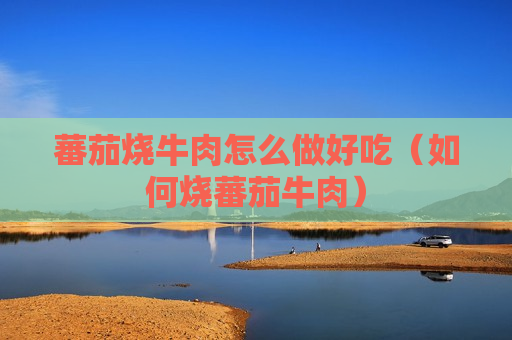 蕃茄烧牛肉怎么做好吃（如何烧蕃茄牛肉）