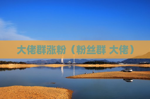 大佬群涨粉（粉丝群 大佬）