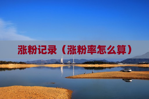 涨粉记录（涨粉率怎么算）