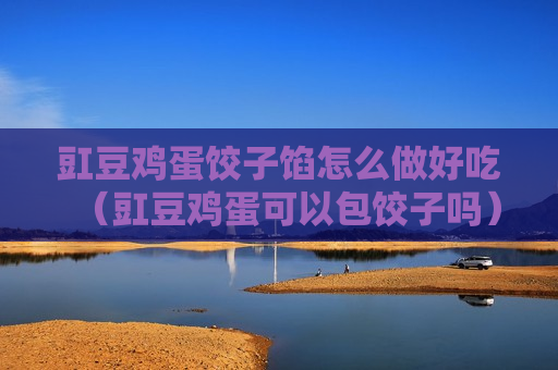 豇豆鸡蛋饺子馅怎么做好吃（豇豆鸡蛋可以包饺子吗）