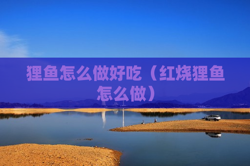 狸鱼怎么做好吃（红烧狸鱼怎么做）