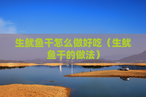 生鱿鱼干怎么做好吃（生鱿鱼干的做法）