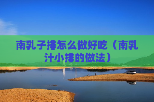 南乳子排怎么做好吃（南乳汁小排的做法）