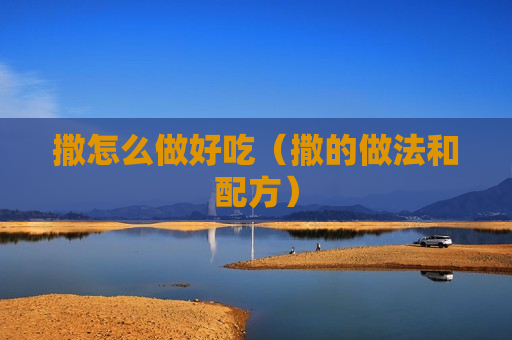 撒怎么做好吃（撒的做法和配方）