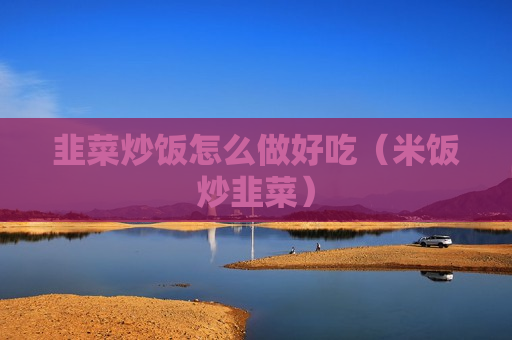 韭菜炒饭怎么做好吃（米饭炒韭菜）