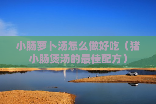小肠萝卜汤怎么做好吃（猪小肠煲汤的最佳配方）