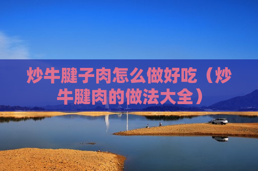 炒牛腱子肉怎么做好吃（炒牛腱肉的做法大全）