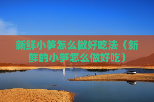 新鲜小笋怎么做好吃法（新鲜的小笋怎么做好吃）