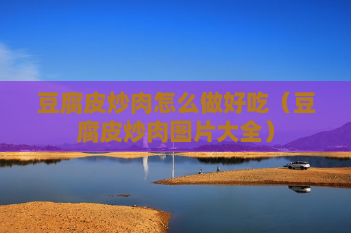 豆腐皮炒肉怎么做好吃（豆腐皮炒肉图片大全）