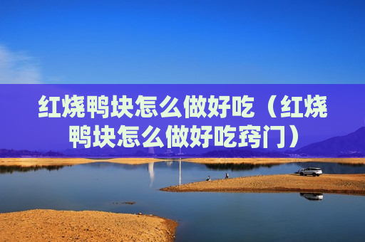 红烧鸭块怎么做好吃（红烧鸭块怎么做好吃窍门）