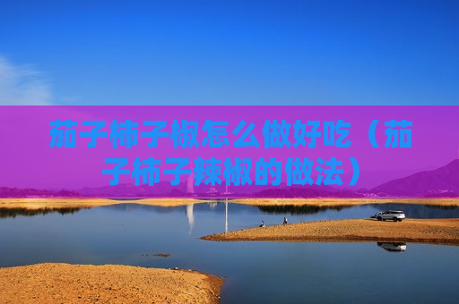 茄子柿子椒怎么做好吃（茄子柿子辣椒的做法）