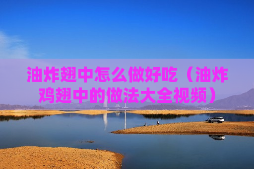 油炸翅中怎么做好吃（油炸鸡翅中的做法大全视频）