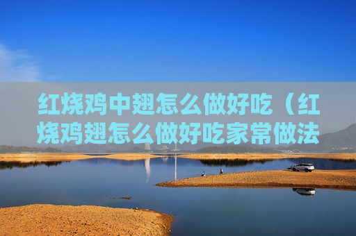 红烧鸡中翅怎么做好吃（红烧鸡翅怎么做好吃家常做法）