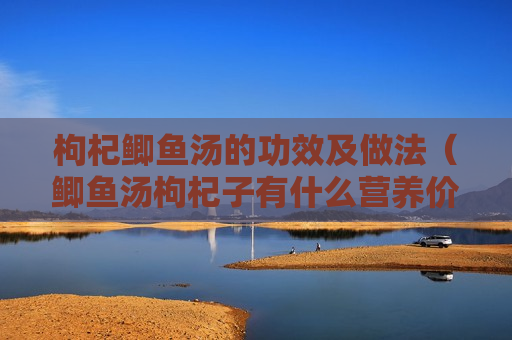 枸杞鲫鱼汤的功效及做法（鲫鱼汤枸杞子有什么营养价值）