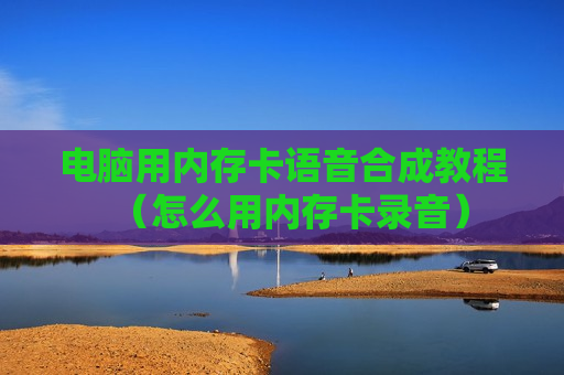 电脑用内存卡语音合成教程（怎么用内存卡录音）