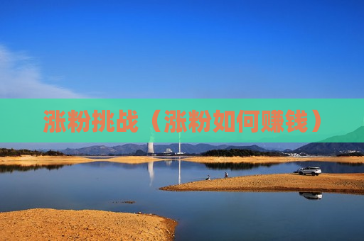涨粉挑战（涨粉如何赚钱）
