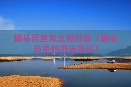 罐头带鱼怎么做好吃（罐头带鱼的做法视频）