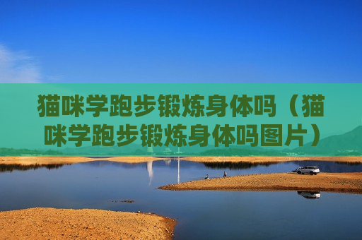 猫咪学跑步锻炼身体吗（猫咪学跑步锻炼身体吗图片）