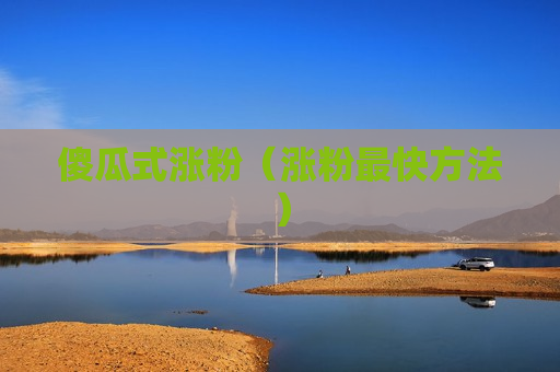 傻瓜式涨粉（涨粉最快方法）