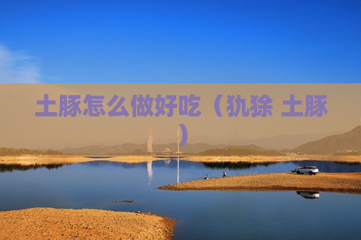 土豚怎么做好吃（犰狳 土豚）