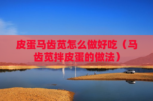 皮蛋马齿苋怎么做好吃（马齿苋拌皮蛋的做法）