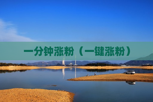 一分钟涨粉（一键涨粉）