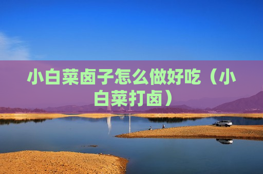 小白菜卤子怎么做好吃（小白菜打卤）