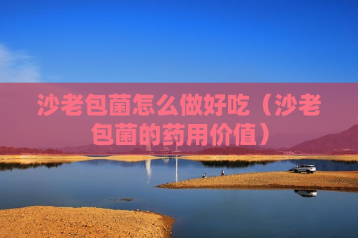 沙老包菌怎么做好吃（沙老包菌的药用价值）