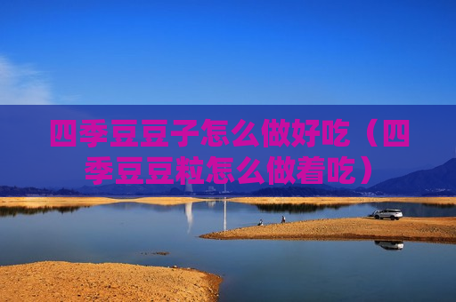 四季豆豆子怎么做好吃（四季豆豆粒怎么做着吃）