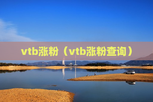 vtb涨粉（vtb涨粉查询）