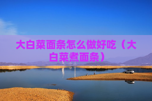 大白菜面条怎么做好吃（大白菜煮面条）