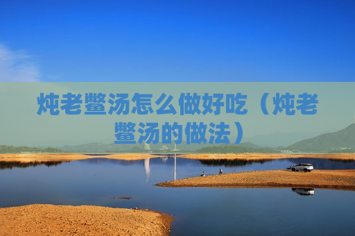 炖老鳖汤怎么做好吃（炖老鳖汤的做法）
