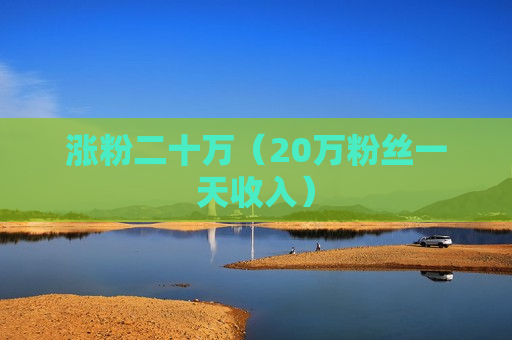涨粉二十万（20万粉丝一天收入）