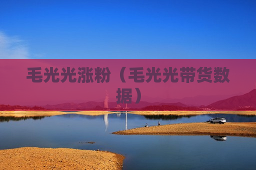 毛光光涨粉（毛光光带货数据）