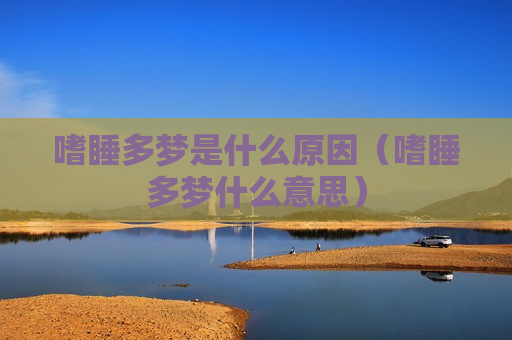 嗜睡多梦是什么原因（嗜睡多梦什么意思）